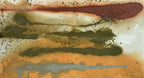 Serengueti II