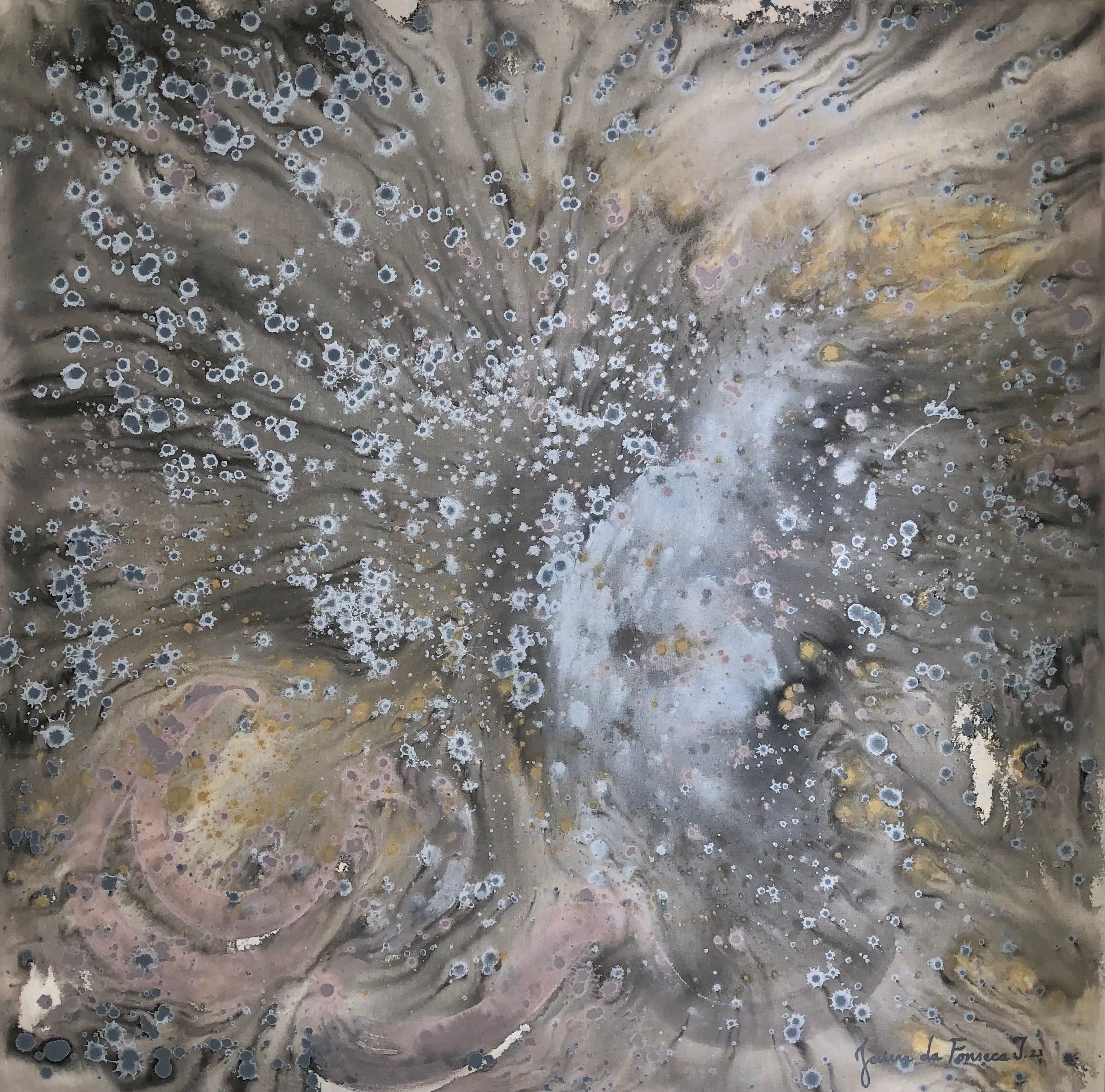 V509 CASSIOPEIA